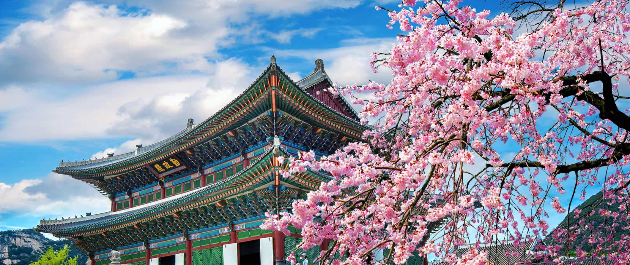 Study in South Korea - Universities and education opportunities